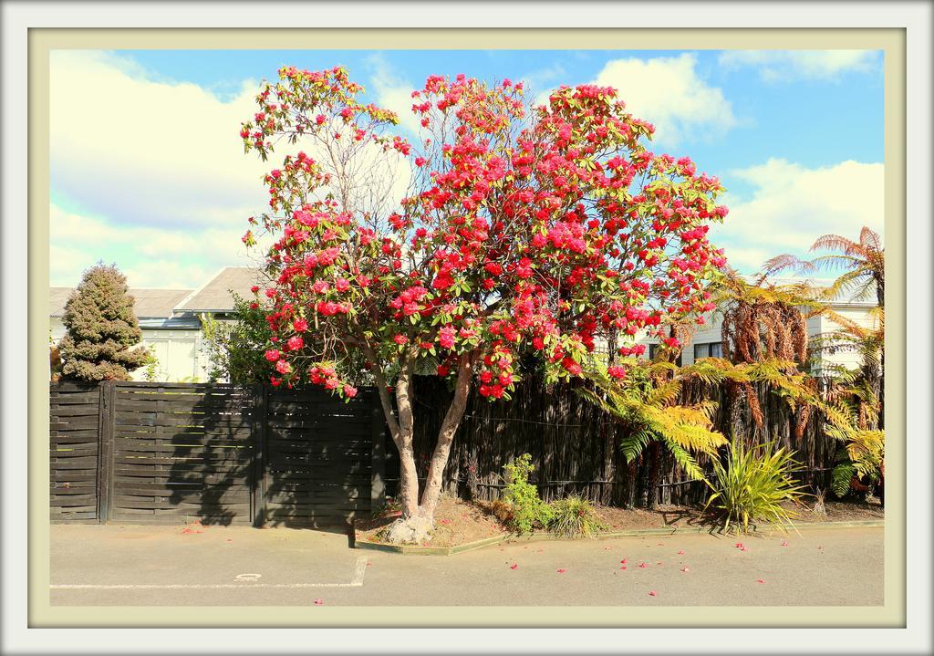 Victoria Lodge Distretto di Distretto di Rotorua Esterno foto
